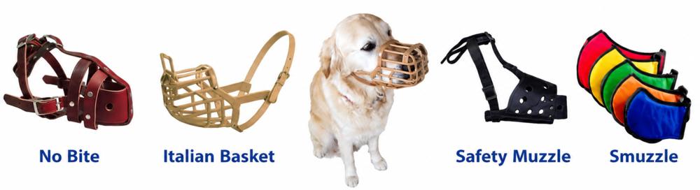 Basket Muzzles are the best muzzles for your dog!