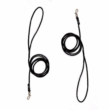 Braided Leather Dog Show Lead 5 Ft.