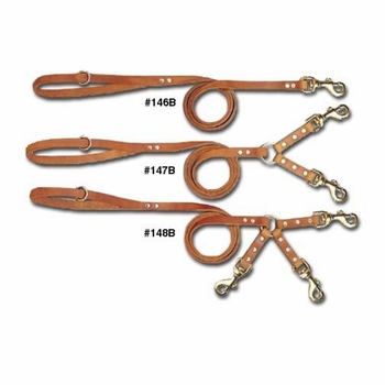 Bully Standard Leather Dog Leads