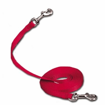 Cat Tie Out Or Cat Leash