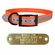 Cut To Fit Dog Collar + Name Plate