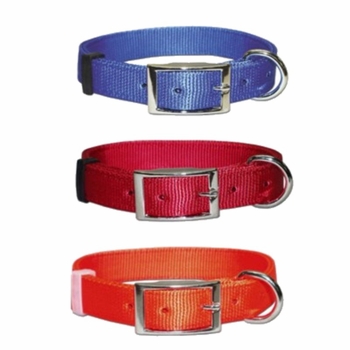 Dee in Front Bravo Dog Collar 1 Inch Wide