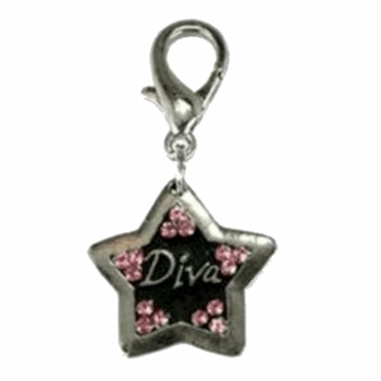 Diva Crystal Charm
