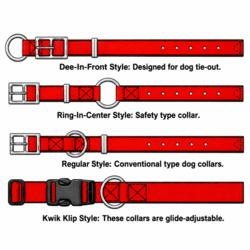 Dog Collar Information