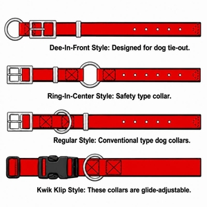 Dog Collar Information