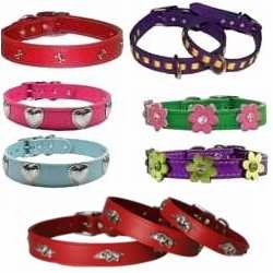 Dog Collars with Ornaments