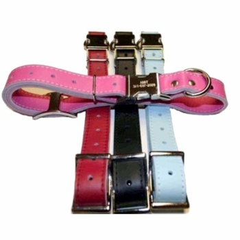 Engraved Buckle Leather ID Collar