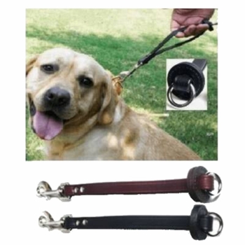 Hold Them-Close Dog Handle