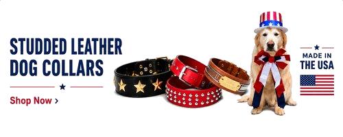 Dog Collars with Studs