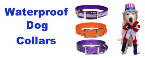 Sunglo Dog Collars