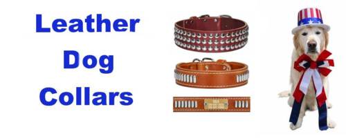 Dog Collars with Studs