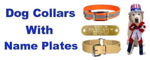 Dog Collars with Name Plates