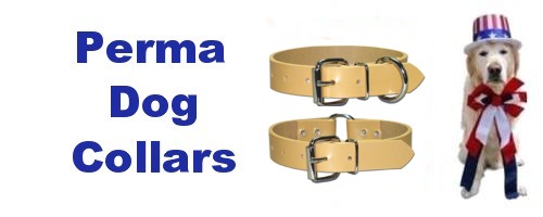 Dog Collars with Name Plates