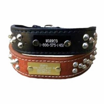 Latigo Leather Collar with Studs and Name Plate