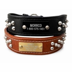Latigo Leather Collar with Studs and Name Plate