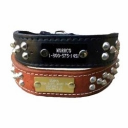 Latigo Leather Collar with Studs and Name Plate
