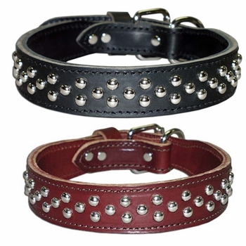  Leather Collar with Dome Studs