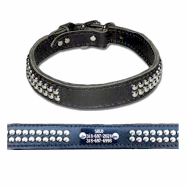 Leather Collar with Dome Studs and Name Plate