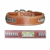  Leather Collar with Oblong Studs and Name Plate