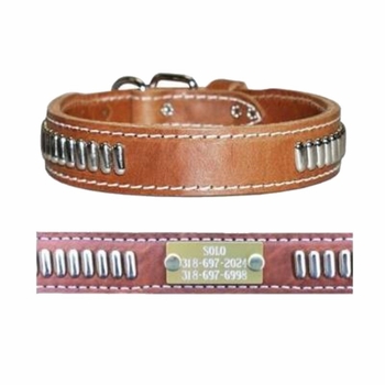 Leather Collar with Oblong Studs and Name Plate