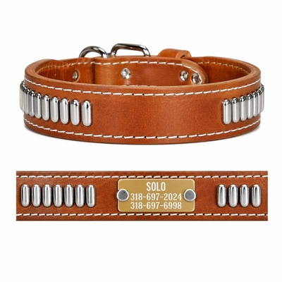 Studded Leather Dog Collar with Name Plate