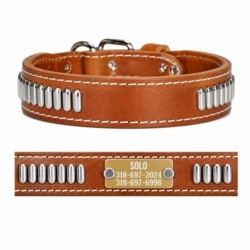  Leather Collar with Oblong Studs and Name Plate