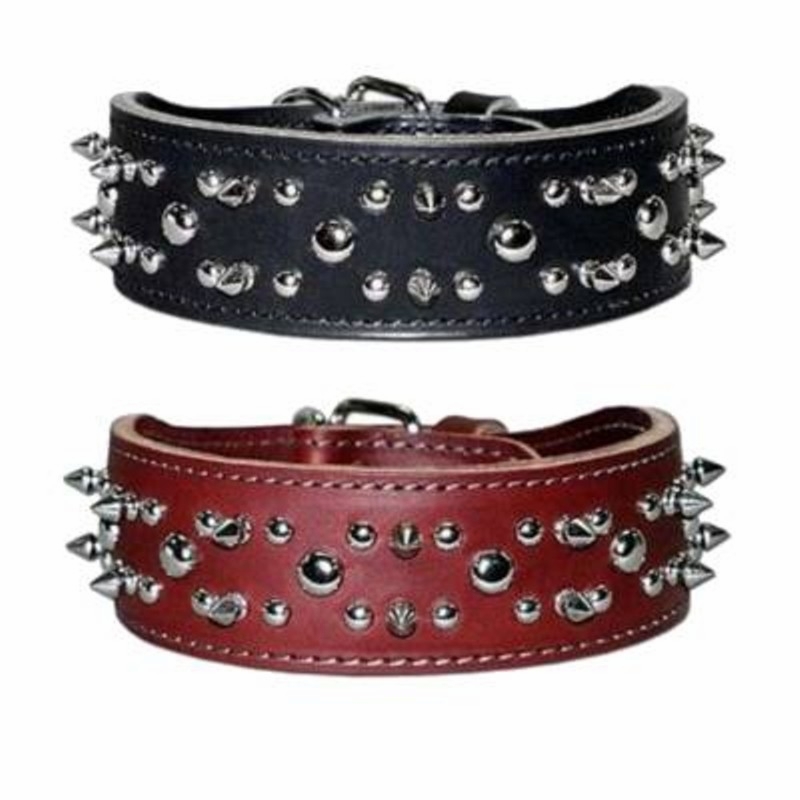 Leather Collar with Spikes and Studs