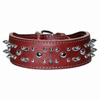 Leather Collar with Spikes and Studs