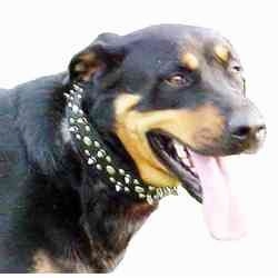 Leather Collar with Spikes and Studs