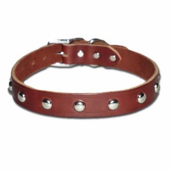 Leather Collar with Studs 1 Inch Wide