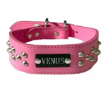 Leather Dog Collar with Name Plate