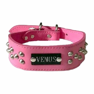 Leather Dog Collar with Name Plate