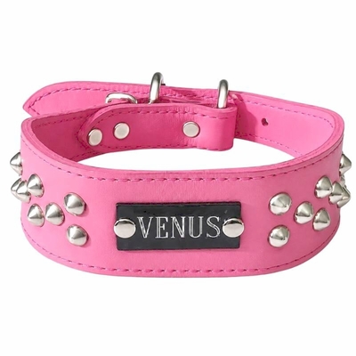 Leather Dog Collar with Name Plate