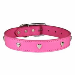 Leather Dog Collars with Bones, Paws or Hearts