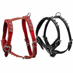 Leather Harness with Spikes