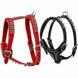 Leather Harness with Spikes