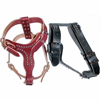 Leather Harness with studs size Small