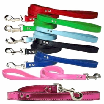 Leather Leash for Choke Free Harness