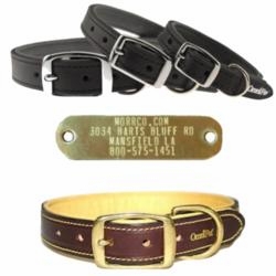 Leather or Nylon Collars with Name Plates