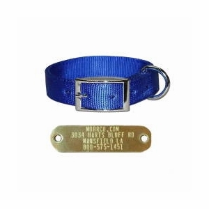 Leather or Nylon Collars with Name Plates
