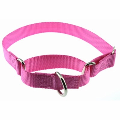 Martingale Training Collars