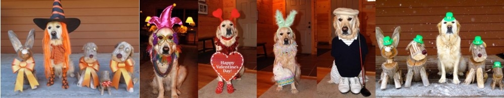 Mr. Higgins and his Muzzle