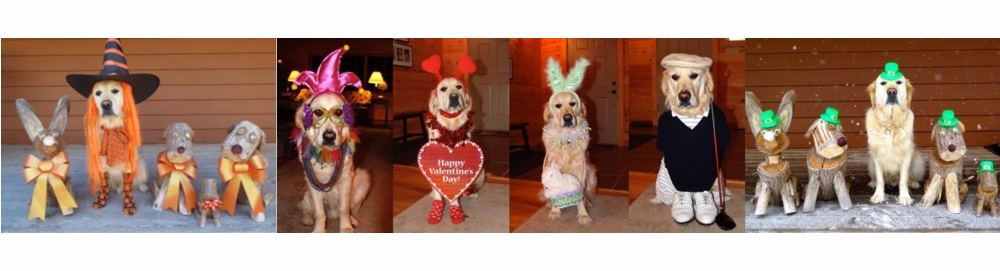 Mr. Higgins and his Muzzle