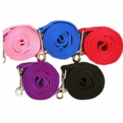 Nylon Leash for Choke Free Dog Harness
