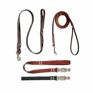 Leather Dog Leads 