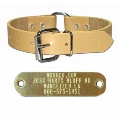 Perma Dog Collar with Name Plate 1 inch wide