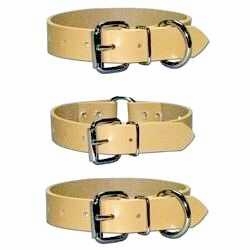 Perma Dog Collars