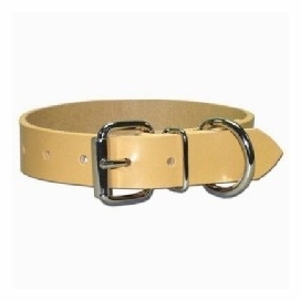 Perma Regular Dog Collar 1 Inch Wide