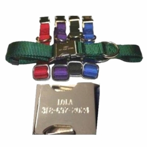 Personalized Metal Buckle Nylon Collars 