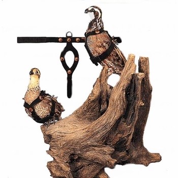Pigeon or Quail Restraint Harness